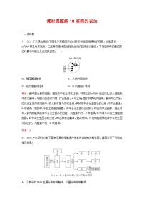 人教版2024届高考生物一轮复习基因的表达作业含答案