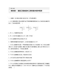 人教版2024届高考生物一轮复习基因工程的基本工具和基本操作程序作业含答案