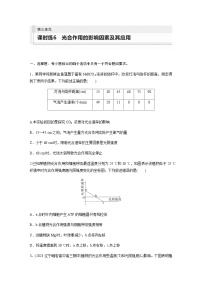 人教版2024届高考生物一轮复习光合作用的影响因素及其应用作业含答案