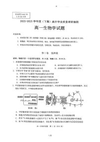 重庆市重庆市渝中区等4地2022-2023学年高一下学期6月期末生物试题