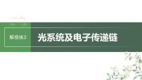 2024年高考生物一轮复习（新人教版） 第3单元　解惑练3　光系统及电子传递链