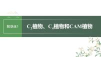 2024年高考生物一轮复习（新人教版） 第3单元　解惑练1　C3植物、C4植物和CAM植物