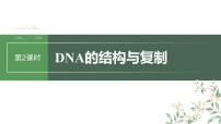 2024年高考生物一轮复习（新人教版） 第6单元　第2课时　DNA的结构与复制