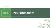 2024年高考生物一轮复习（新人教版） 第10单元　解惑练4　PCR技术拓展应用