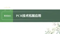 2024年高考生物一轮复习(新人教版) 第10单元 解惑练4 PCR技术拓展应用