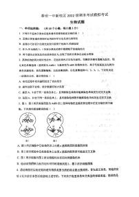 山东省泰安第一中学2022-2023学年高一下学期期末模拟生物试题