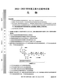 2023湖南省炎德英才高三下学期2月联考(第六次联考)生物试卷及参考答案