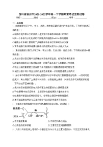 四川省眉山市2021-2022学年高一下学期期末考试生物试卷（含答案）