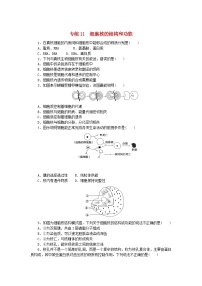 新高考2024版高考生物一轮复习微专题小练习专练11细胞核的结构和功能