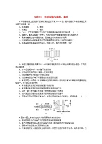 新高考2024版高考生物一轮复习微专题小练习专练13主动运输与胞吞胞吐