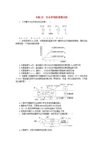 新高考2024版高考生物一轮复习微专题小练习专练28光合作用的图像分析