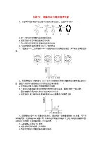 新高考2024版高考生物一轮复习微专题小练习专练32细胞有丝分裂的图表分析