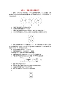 新高考2024版高考生物一轮复习微专题小练习专练41减数分裂和受精作用