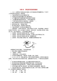 新高考2024版高考生物一轮复习微专题小练习专练65神经调节的结构基础