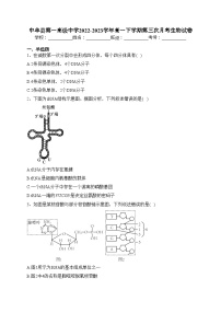 中牟县第一高级中学2022-2023学年高一下学期第三次月考生物试卷（含答案）