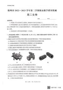 河北省沧州市2022-2023学年高二下学期期末教学质量监测+生物试题及答案