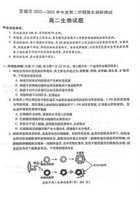 安徽省宣城市2022-2023高二下学期期末生物试卷+答案