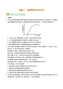 2023年高考真题和模拟题生物分项汇编（全国通用）专题03 细胞呼吸与光合作用（原卷版）