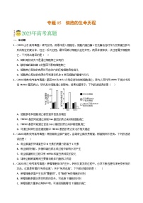 2023年高考真题和模拟题生物分项汇编（全国通用）专题05 细胞的生命历程（原卷版）