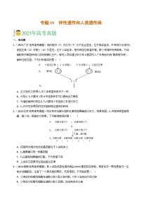 2023年高考真题和模拟题生物分项汇编（全国通用）专题08 伴性遗传和人类遗传病（原卷版）