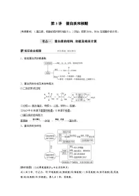 高考生物一轮复习讲练 第1单元 第3讲 蛋白质和核酸 (含解析)