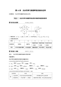 高考生物一轮复习讲练 第3单元 第10讲　光合作用与细胞呼吸的综合应用 (含解析)