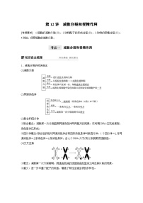 高考生物一轮复习讲练 第4单元 第12讲　减数分裂和受精作用 (含解析)