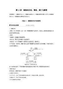 高考生物一轮复习讲练 第4单元 第13讲　细胞的分化、衰老、凋亡与癌变 (含解析)