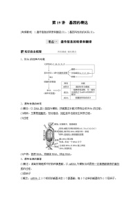 高考生物一轮复习讲练 第6单元 第19讲　基因的表达 (含解析)