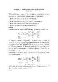 高考生物一轮复习讲练 第6单元 热点题型七  DNA复制与染色体位置标记问题 (含解析)