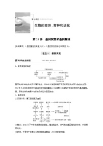 高考生物一轮复习讲练 第7单元 第20讲　基因突变和基因重组 (含解析)