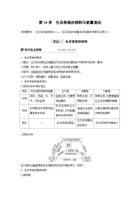 高考生物一轮复习讲练 第9单元 第30讲　生态系统的结构与能量流动 (含解析)