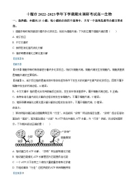 湖北省十堰市2022-2023学年高一生物下学期期末调研考试试题（Word版附解析）