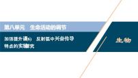 高考生物一轮复习课件第8单元 加强提升课(6) 反射弧中兴奋传导特点的实验探究 (含解析)