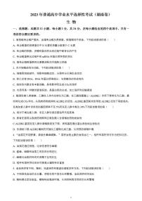 2023年高考真题——生物（湖南卷）无答案