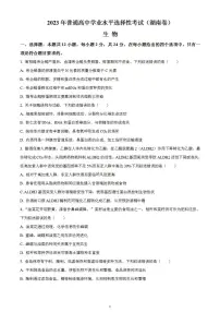 2023年高考真题——生物（湖南卷）无答案