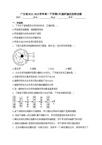 广东省2022-2023学年高一下学期5月调研测试生物试卷（含答案）