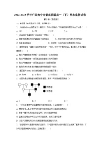 2022-2023学年广西南宁市普高联盟高一（下）期末生物试卷（含解析）