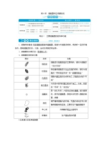 高考生物一轮复习考点过关练习第2单元　第6讲　细胞器和生物膜系统 (含解析)