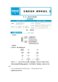 高考生物一轮复习考点过关练习第7单元 第20讲 基因突变和基因重组(含解析)