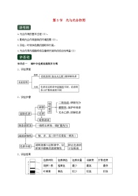 高考生物一轮复习专题3.3光与光合作用精讲（含解析）