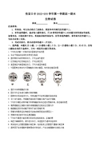 河北省张家口市2022-2023学年高一下学期期末生物试题