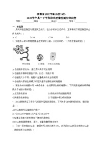 湖南省邵阳市新邵县2022-2023学年高一下学期期末质量检测生物试卷（含答案）