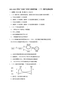 2021-2022学年广东省广州市八校联考高一（下）期中生物试卷（含答案）