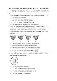 2021-2022学年江苏省南京市六校联考高一（下）期中生物试卷（含答案）