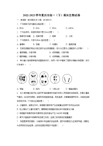 2022-2023学年重庆市高一(下)期末生物试卷(含解析)