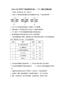 2022-2023学年广东省深圳市高一(下)期末生物试卷(含解析)