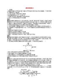 适用于新教材2024版高考生物一轮总复习课时规范练9物质出入细胞的方式及影响因素新人教版