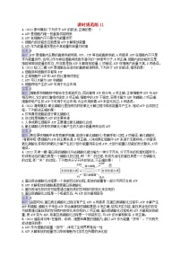 适用于新教材2024版高考生物一轮总复习课时规范练11细胞的能量“货币”ATP新人教版