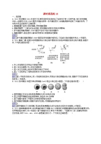 适用于新教材2024版高考生物一轮总复习课时规范练16细胞的增殖新人教版